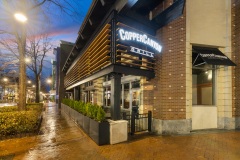 Copper Canyon - Silver Spring